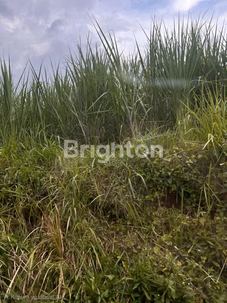 image LAHAN STRATEGIS SUMBER SEKAR, BATU - 3.400M² (1)