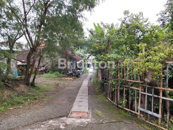 image RUMAH DIJUAL TANAH DI MOJOSONGO, LT 110M² HARGA TERJANGKAU (3)