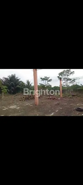 image TANAH BONUS BANGUNAN (2)