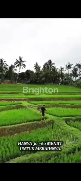 image DIJUAL TANAH PREMIUM 473 M2 DEKAT TANAH LOT TABANAN  (4)