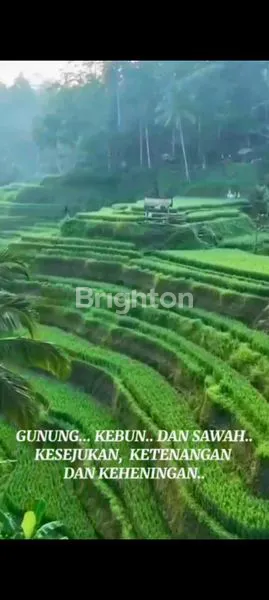 image INVESTASI TANAH 473M², DEKAT TANAH LOT, SHM SIAP BANGUN (3)