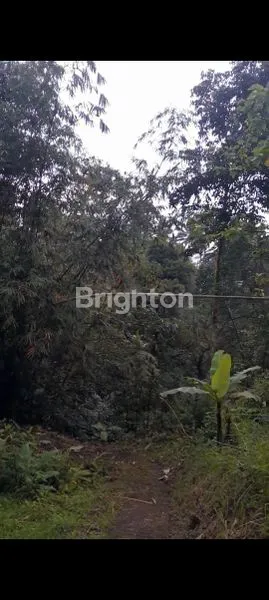 image TANAH 12.000 M² DI KETINGGIAN, COCOK UNTUK WISATA ALAM (1)