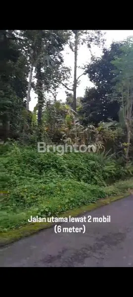 image TANAH 12.000 M² DI KETINGGIAN, COCOK UNTUK WISATA ALAM (2)