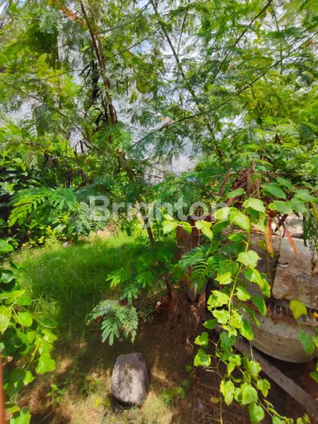 image TANAH STRATEGIS DI BY PASS NGURAH RAI, LOKASI EMAS UNTUK INVESTASI (4)