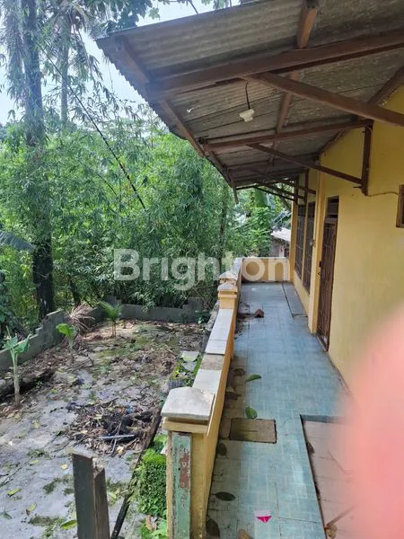 image RUMAH SEWA MURAH BESAR (7)