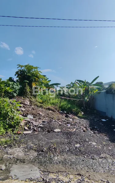 image TANAH 1,2 ARE DI TUMBAK BAYUH COCOK UNTUK VILLA (6)