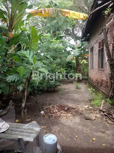 image RUMAH DIJUAL DI NGADILUWIH (4)
