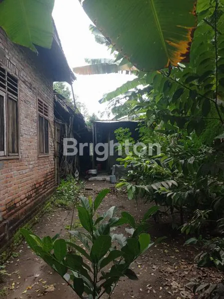 image RUMAH DIJUAL DI NGADILUWIH (3)