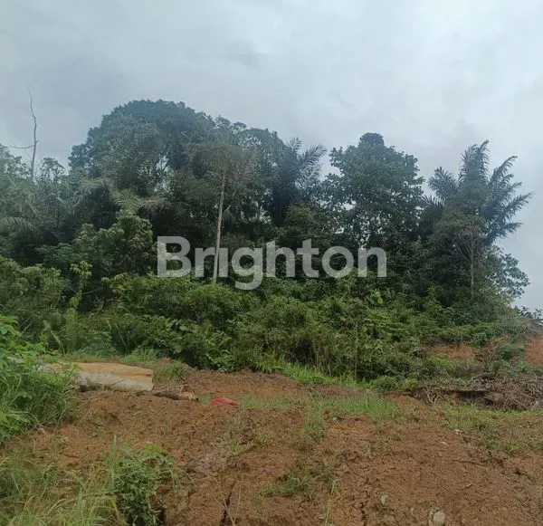 image TANAH PINGGIR JALAN DI SAMARINDA, LUAS 494M² SHM (1)