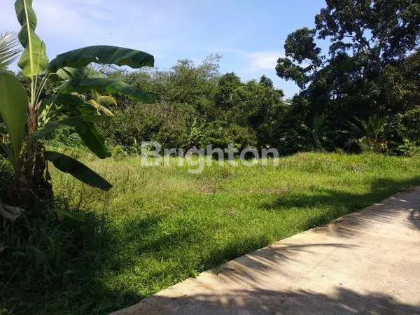 image TANAH CLUSTER 1.735M² WARU INDUK PARUNG – MUKA MEWAH 50 METER – 6 MENIT KE PASAR & RAMAYANA – IDEAL UNTUK CLUSTER MINI, GUDANG, ATAU WORKSHOP (2)