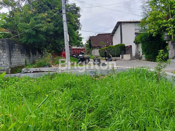 image PELUANG LANGKA TANAH 1500M2 KAWASAN FAVORIT SEMINYAK (4)