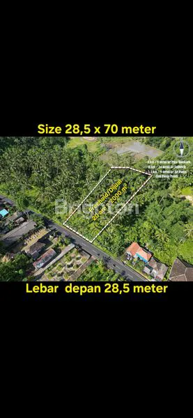 image TANAH DIJUAL DEKAT KAKI GN BATUKARU , TABANAN BALI (3)