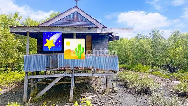 EMPANG 10 HEKTAR SIAP SEWA, HARGA MENARIK DI BONE