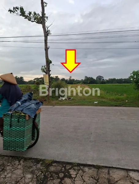 image SEWA TANAH LUAS  TEPI AKSES JALAN BESAR (1)