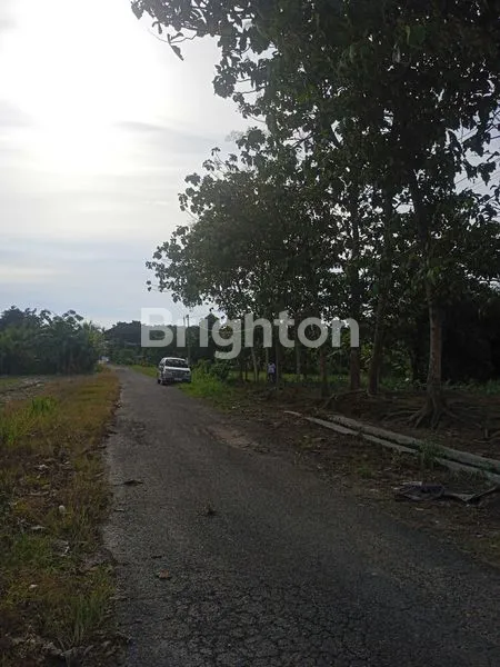 image TANAH DI JLN. CANDIPURO RAYA UTAMA, TAMAN AGUNG, KALIANDA, LAMPUNG SELATAN, LAMPUNG (7)