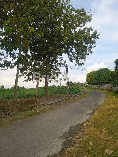 image TANAH DI JLN. CANDIPURO RAYA UTAMA, TAMAN AGUNG, KALIANDA, LAMPUNG SELATAN, LAMPUNG (4)