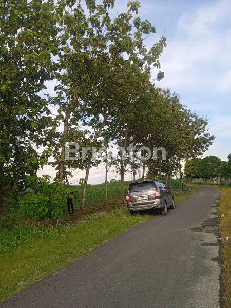 image TANAH DI JLN. CANDIPURO RAYA UTAMA, TAMAN AGUNG, KALIANDA, LAMPUNG SELATAN, LAMPUNG (1)