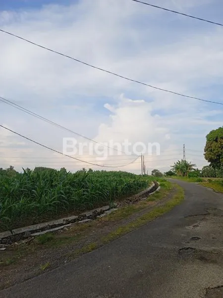 image TANAH DI JLN. CANDIPURO RAYA UTAMA, TAMAN AGUNG, KALIANDA, LAMPUNG SELATAN, LAMPUNG (8)