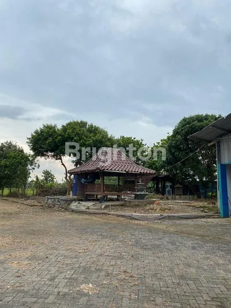 image RUMAH, GUDANG, RUKO, SAWAH ±1,3HEKTAR NOL KM JALAN (2)