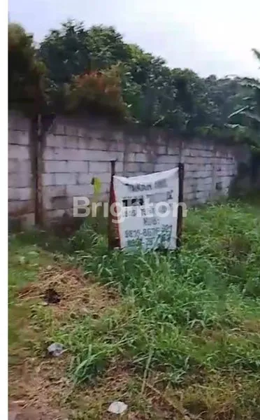 image TANAH KOMERSIAL SIAP BANGUN. COCOK UNTUK KOS KOSAN, MINI CLUSTER, DEKAT KAMPUS IPB DRAMAGA BOGOR (3)