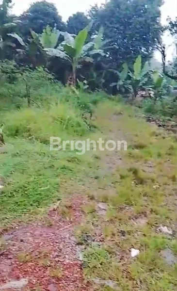 image TANAH KOMERSIAL SIAP BANGUN. COCOK UNTUK KOS KOSAN, MINI CLUSTER, DEKAT KAMPUS IPB DRAMAGA BOGOR (2)