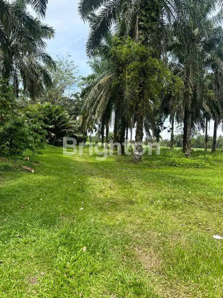 LUAS TANAH 7.416 M I HARGA 1.8M ( NEGO ) I SHM I SIANTAR I SIMALUNGUN