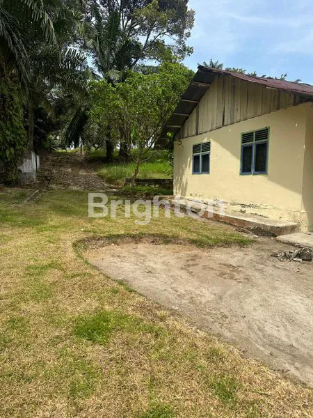 image LUAS TANAH 7.416 M I HARGA 1.8M ( NEGO ) I SHM I SIANTAR I SIMALUNGUN (7)