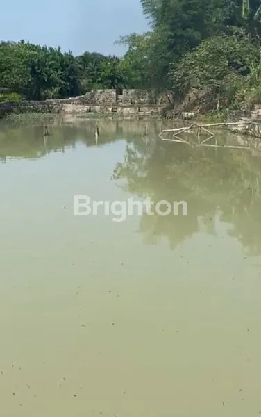 image LUAS TANAH 7.416 M I HARGA 1.8M ( NEGO ) I SHM I SIANTAR I SIMALUNGUN (3)