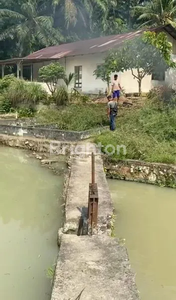 image LUAS TANAH 7.416 M I HARGA 1.8M ( NEGO ) I SHM I SIANTAR I SIMALUNGUN (4)