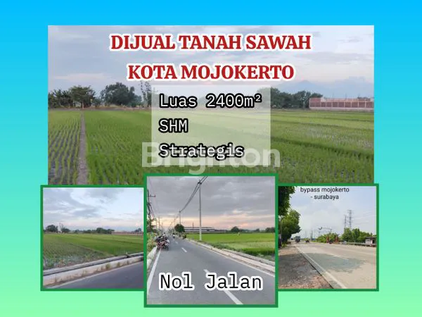 image DIJUAL TANAH SAWAH KOTA MOJOKERTO (1)