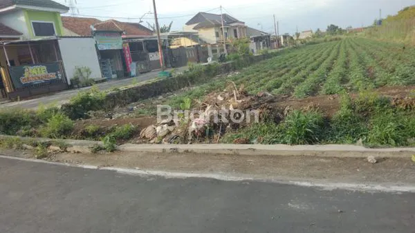 image TANAH LUAS SHM 2013M², DEKAT ALUN-ALUN PENGGING (1)