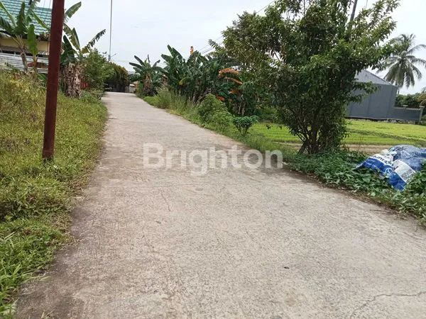 image TANAH DI JUAL LAMARU BALIKPAPAN TIMUR  (2)