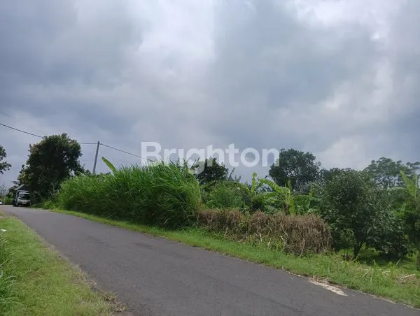 DIJUAL TANAH DAERAH DESA BELANGA DUSUN DON YEH KINTAMANI