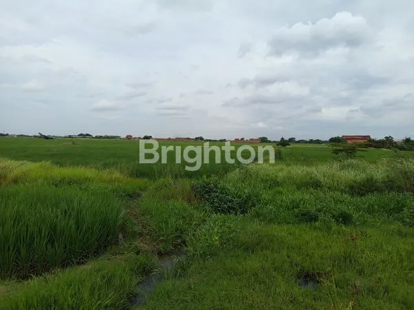 image TANAH STRATEGIS 27 HEKTAR DI CIKARANG TIMUR (5)