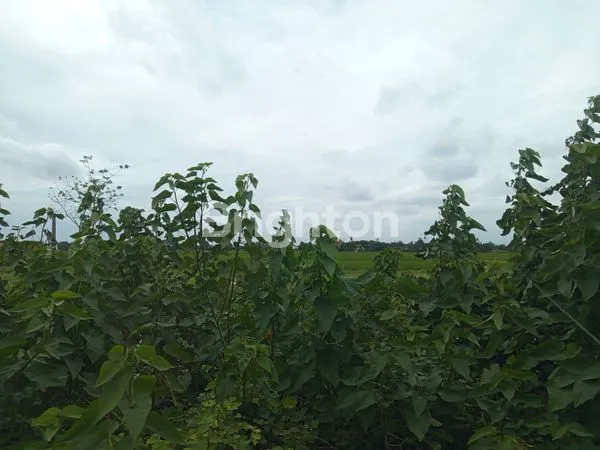 image TANAH STRATEGIS 27 HEKTAR DI CIKARANG TIMUR (4)