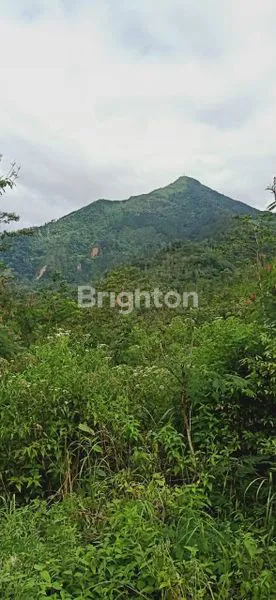 INVESTASI TANAH STRATEGIS 8.700M², 2KM KE PUNCAK TELOMOYO