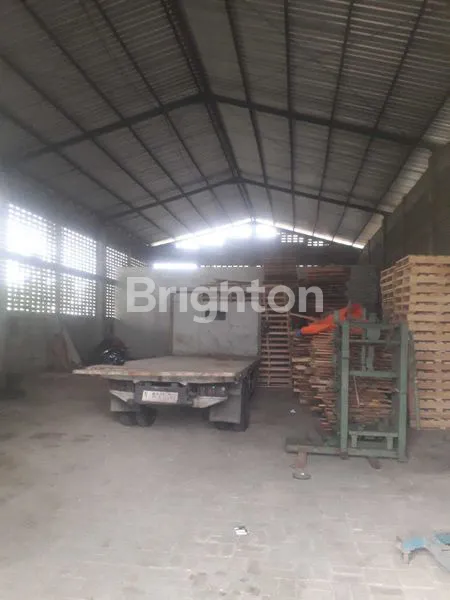 image JUAL PABRIK KAYU AKTIF KOTA PASURUAN JAWA TIMUR  (5)