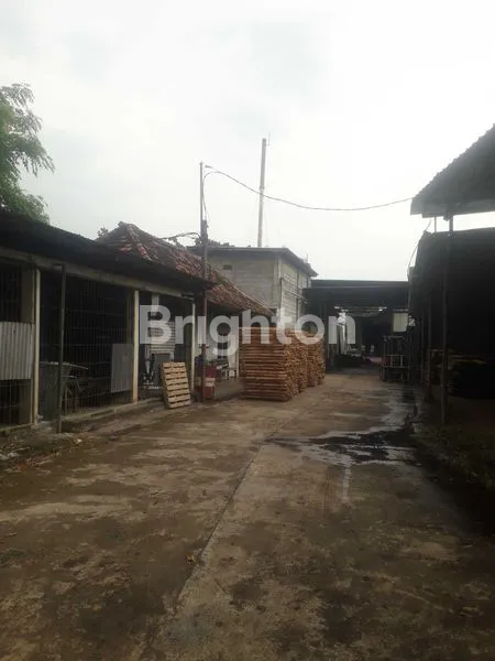 image JUAL PABRIK KAYU AKTIF KOTA PASURUAN JAWA TIMUR  (3)
