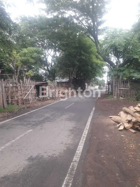image JUAL PABRIK KAYU AKTIF KOTA PASURUAN JAWA TIMUR  (2)