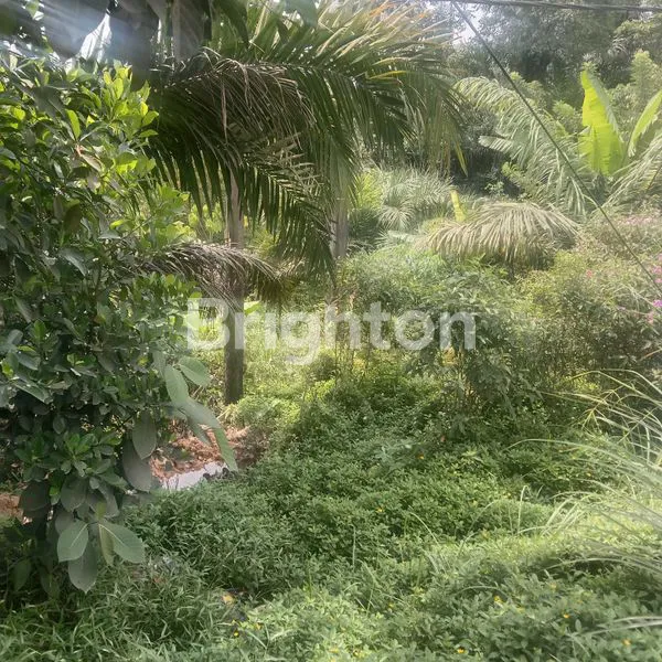 image TANAH DI JUAL DI KM 12 (1)