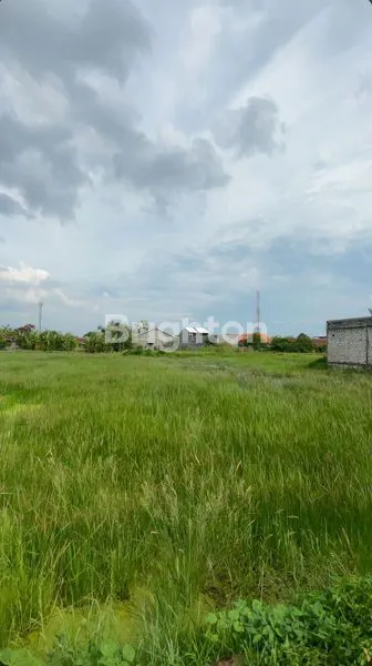 image TANAH PEKARANGAN (4)