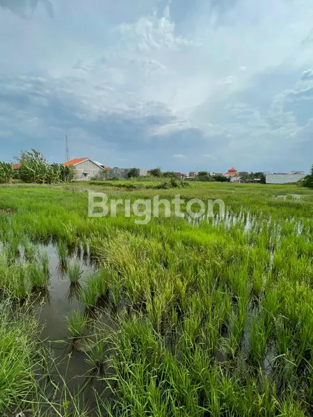 image TANAH PEKARANGAN (5)