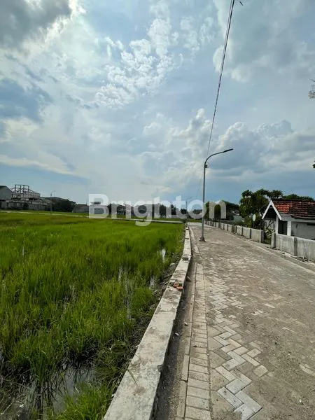 image TANAH PEKARANGAN (2)