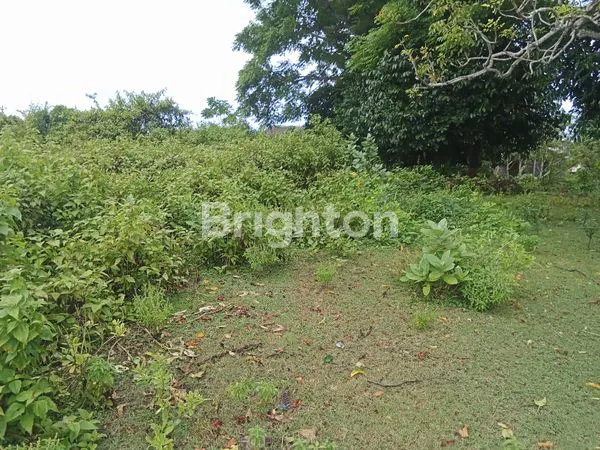 image DIJUAL TANAH PREMIUM HOOK GOA GONG JALAN UTAMA VIEW PATUNG GWK DEKAT PANTAI PANDAWA (5)