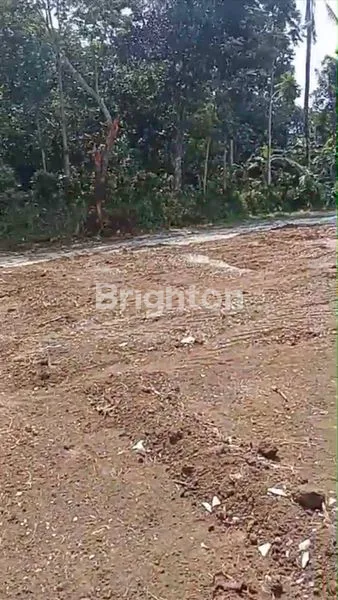 image TANAH LUAS BENDOSEWU BLITAR  (5)