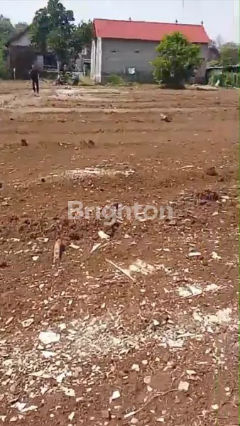 image TANAH LUAS BENDOSEWU BLITAR  (2)