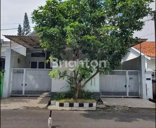 image RUNGKUT ASRI DEKAT MERR BARUK PURIMAS (1)