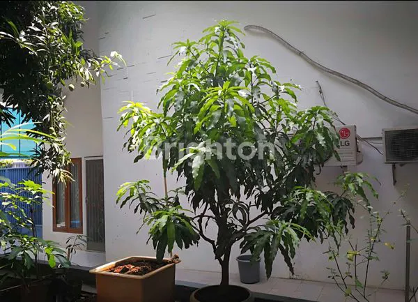 image RUMAH 2 LANTAI, 6 KT, LOKASI PREMIUM TANJUNG DUREN (4)