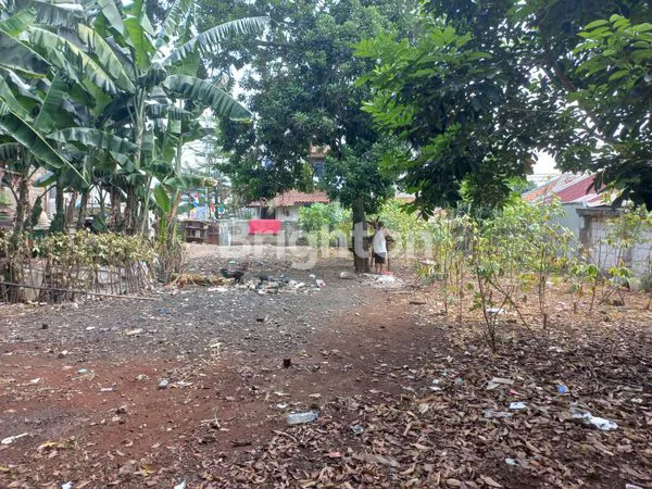 image TANAH DIJUAL (3)