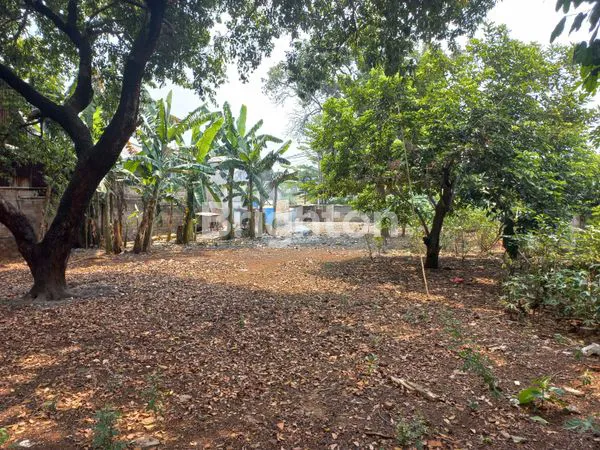 image TANAH DIJUAL (5)